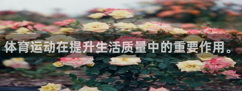 JJB竞技宝官网下载平台注册流程图:体育运动在提升生活质量中