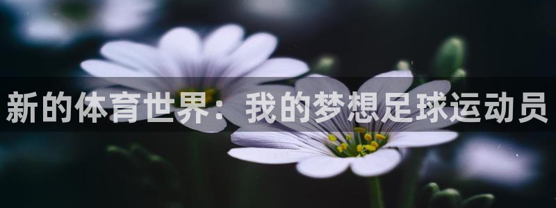 JJB竞技宝官方正版app集团:新的体育世界:我的梦想足球运