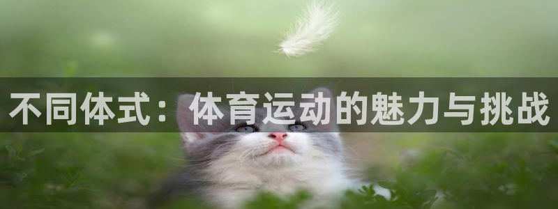 JJB竞技宝官方正版app集团官网首页:不同体式:体育运动的